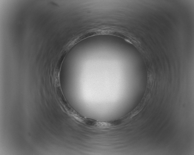 X0000080700429200612150841