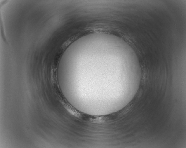 X0000080700430200612150841