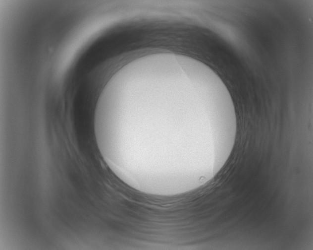 X0000080700431200612150841