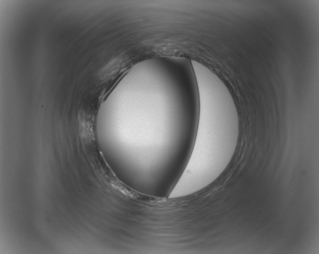 X0000080700432200612150841