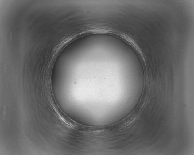 X0000080700433200612150841