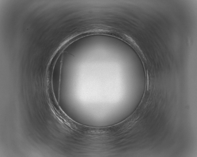X0000080700435200612150841