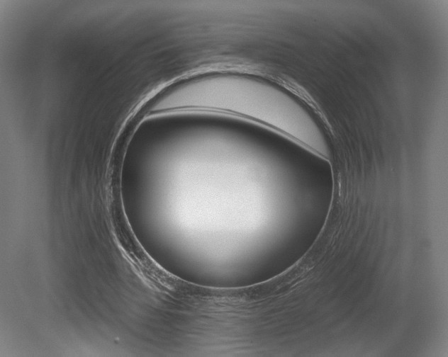 X0000080700436200612150841