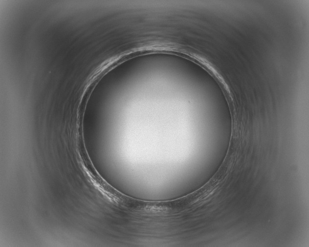 X0000080700437200612150841