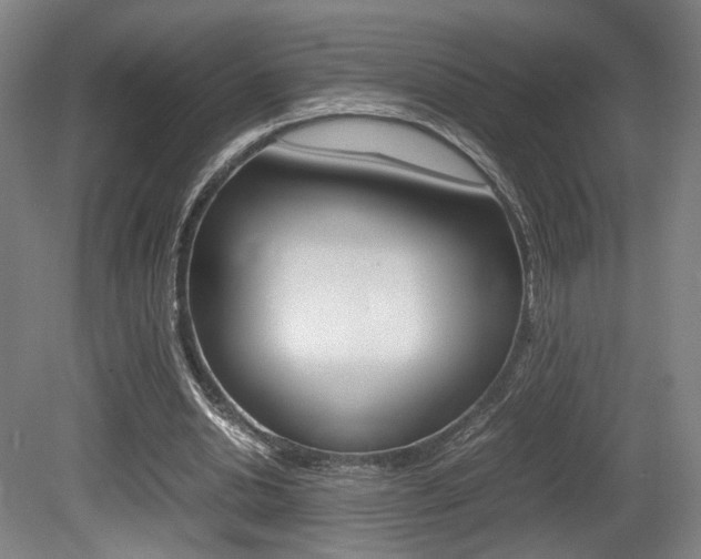 X0000080700438200612150841