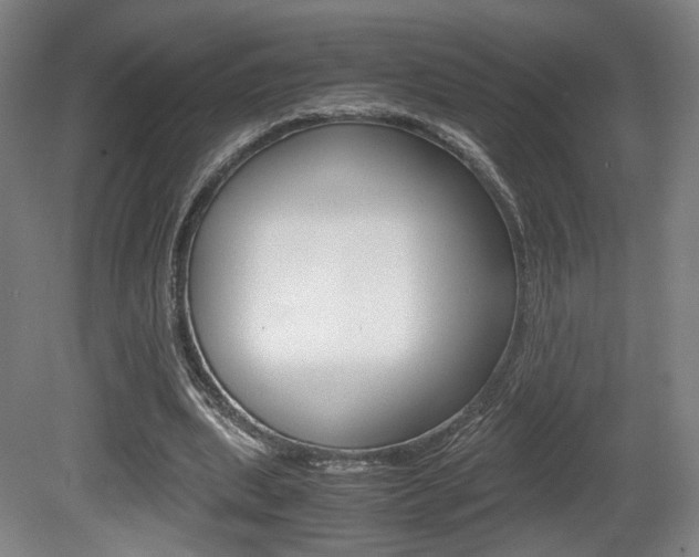 X0000080700439200612150841
