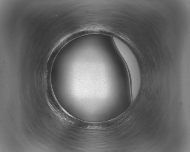 X0000080700440200612150841