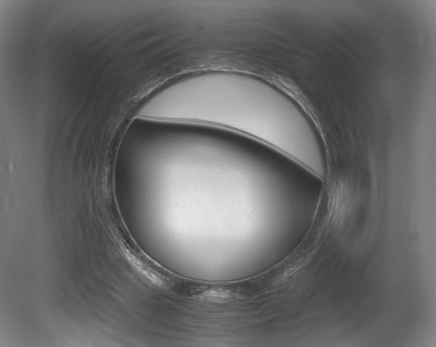 X0000080700441200612150841