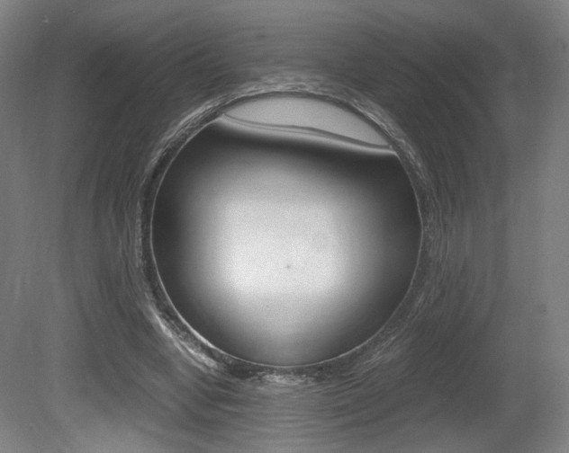 X0000080700442200612150841
