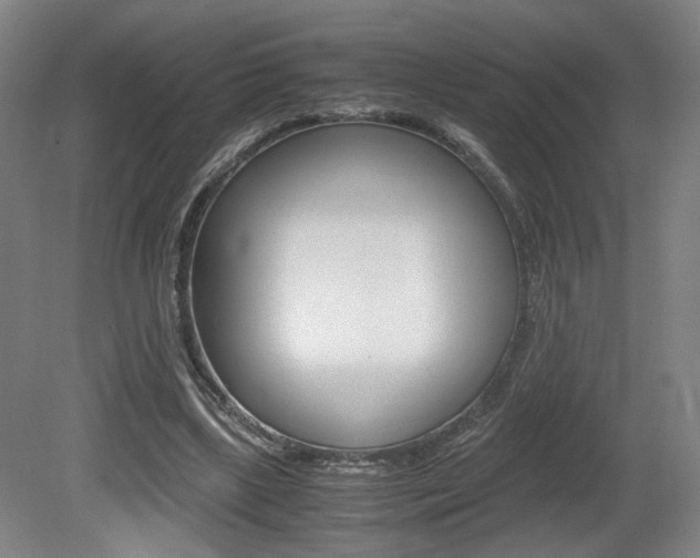 X0000080700443200612150841