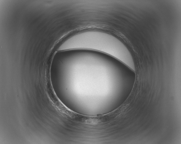 X0000080700444200612150841