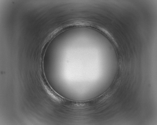 X0000080700445200612150841