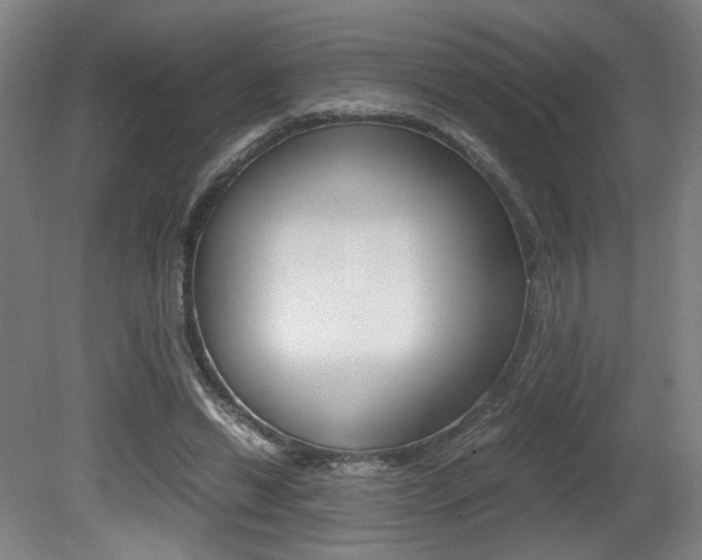 X0000080700446200612150841