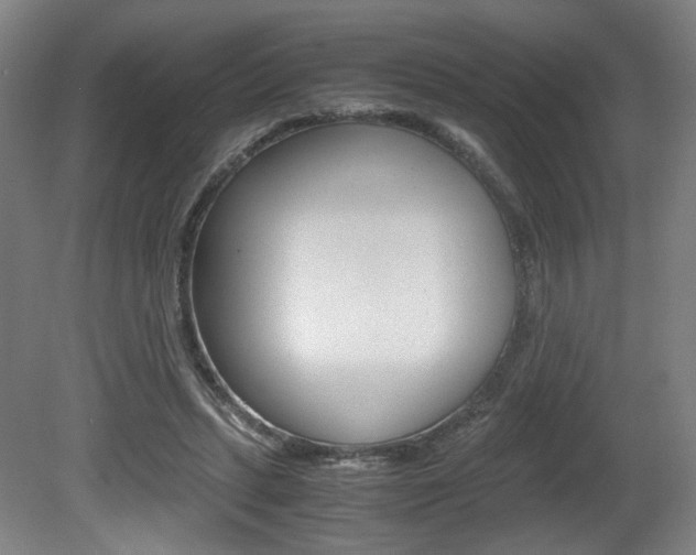 X0000080700447200612150841