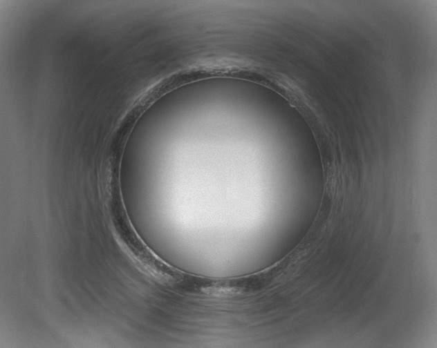 X0000080700448200612150841