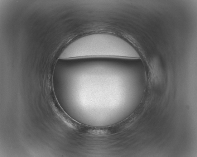 X0000080700449200612150841