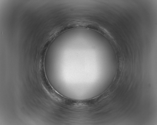 X0000080700451200612150841