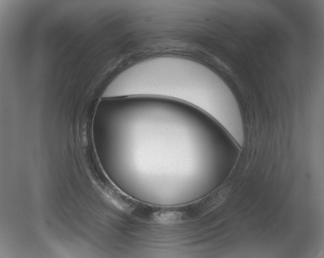 X0000080700452200612150841