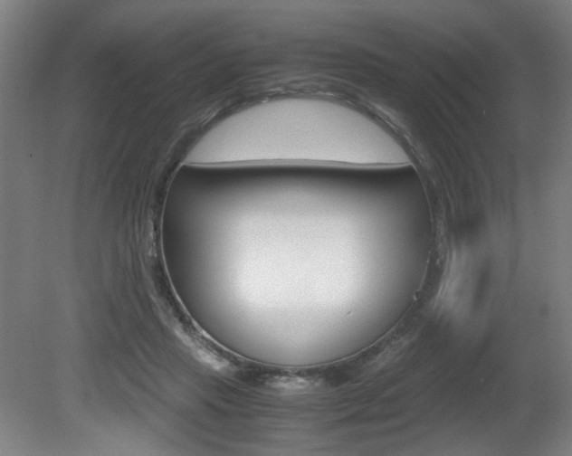 X0000080700453200612150841