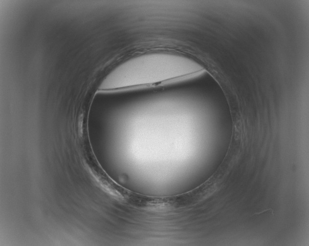 X0000080700454200612150841