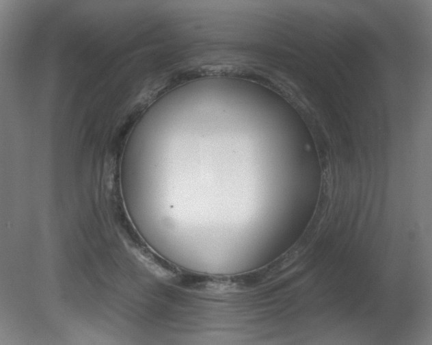 X0000080700458200612150841