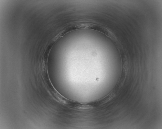 X0000080700459200612150841