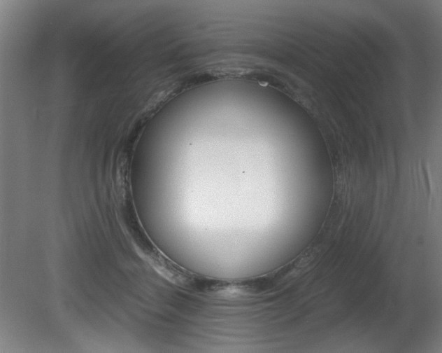 X0000080700460200612150841