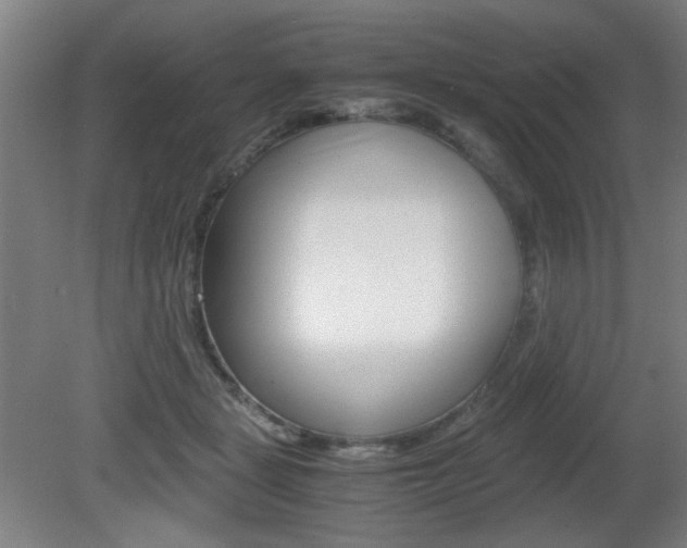 X0000080700461200612150841