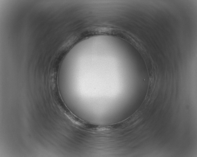 X0000080700462200612150841