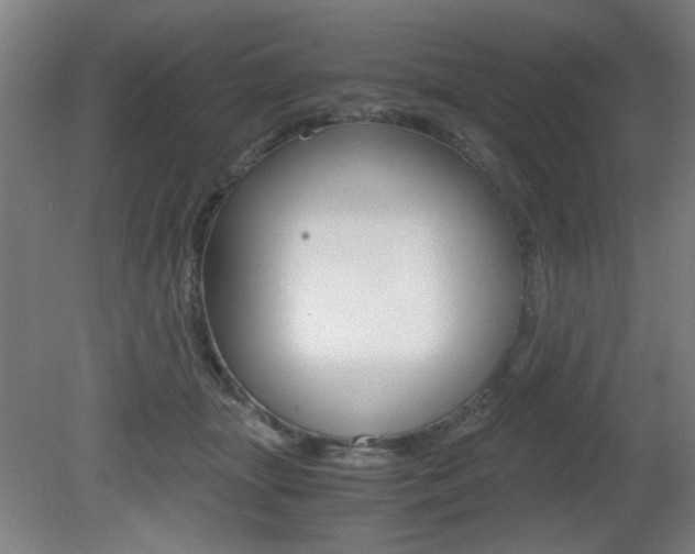 X0000080700463200612150841