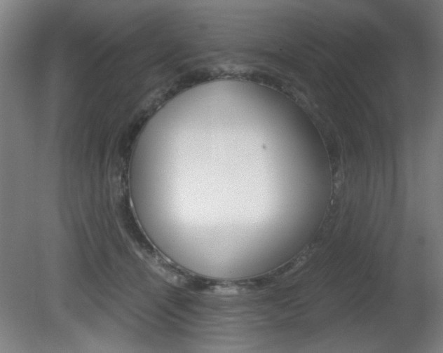 X0000080700464200612150841