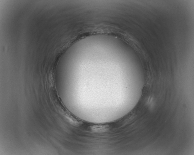 X0000080700465200612150841