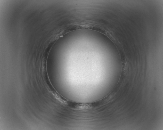 X0000080700466200612150841