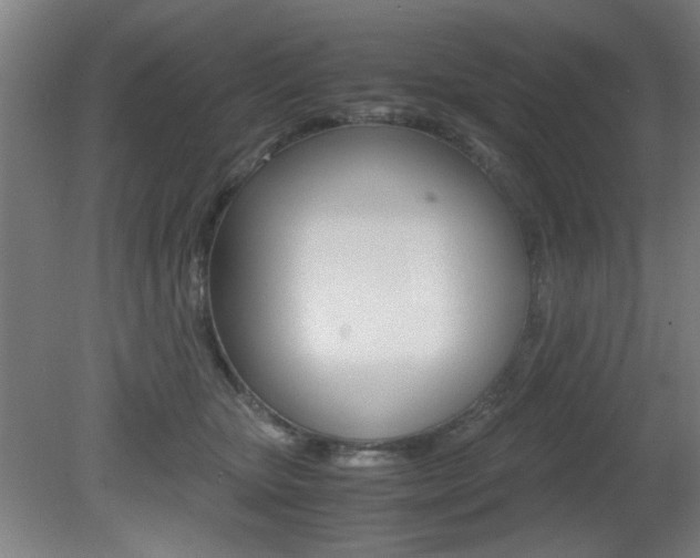 X0000080700467200612150841