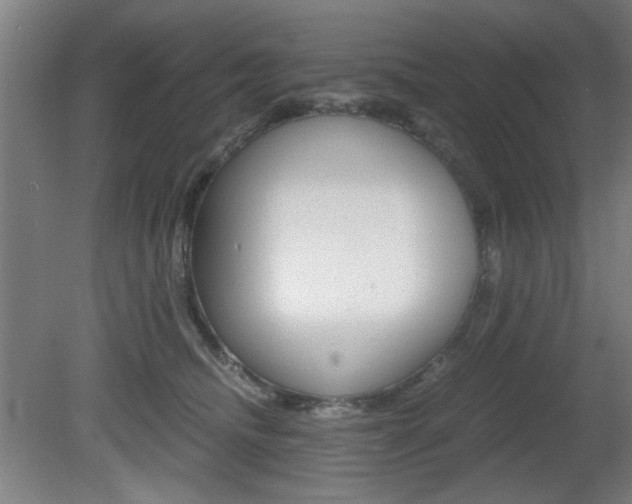 X0000080700468200612150841