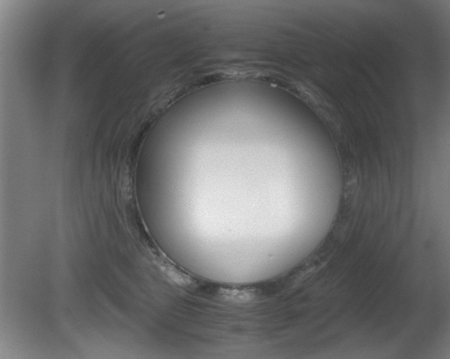 X0000080700469200612150841