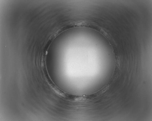 X0000080700470200612150841
