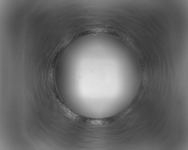 X0000080700473200612150841