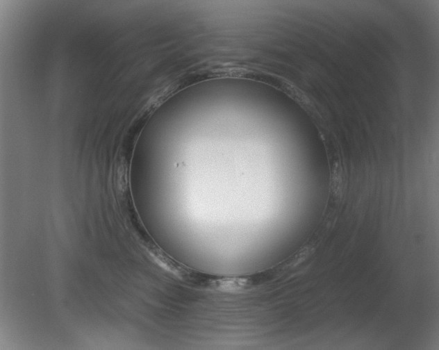 X0000080700474200612150841