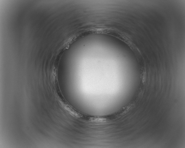 X0000080700476200612150841