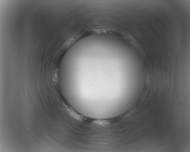 X0000080700477200612150841