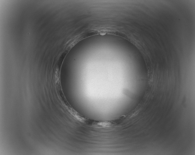 X0000080700478200612150841