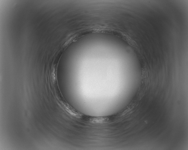 X0000080700479200612150841