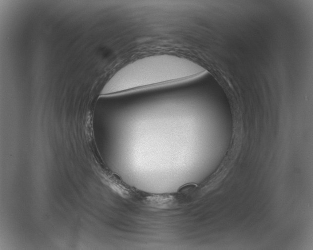 X0000080700480200612150841