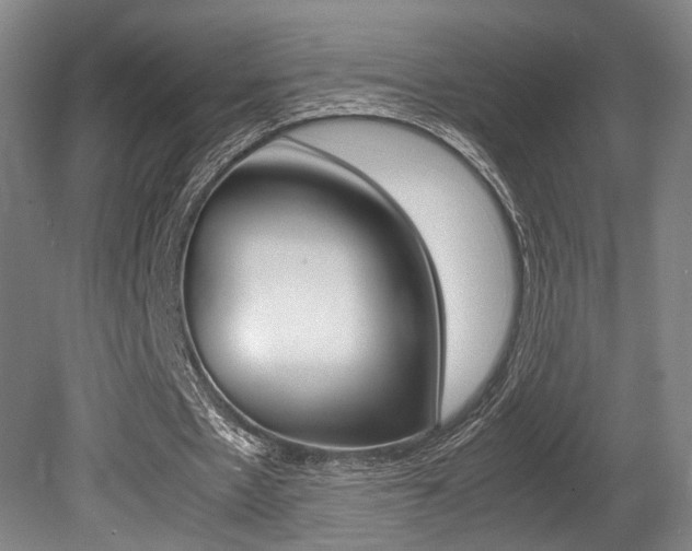 X0000080700481200612150840