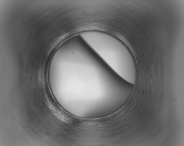 X0000080700482200612150840