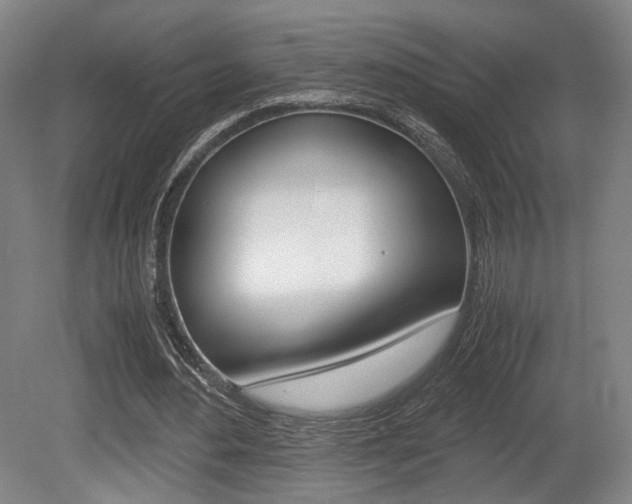 X0000080700484200612150840