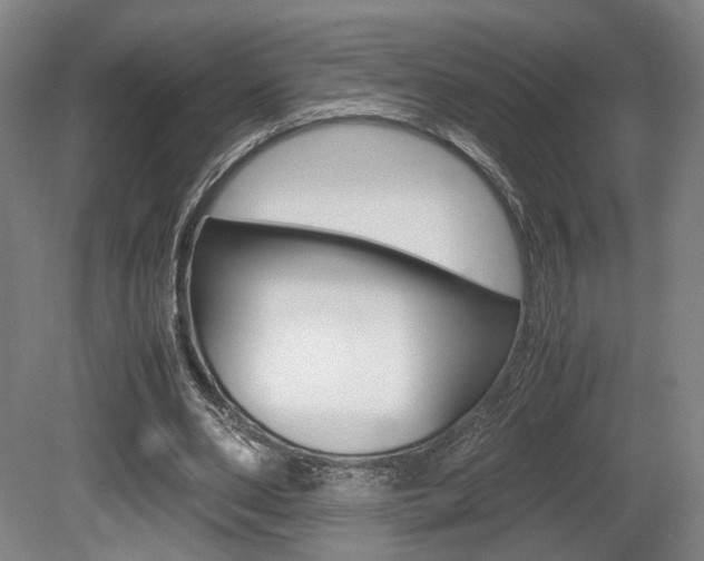 X0000080700486200612150840