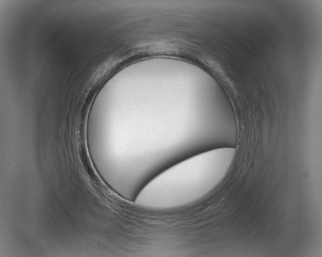 X0000080700487200612150840