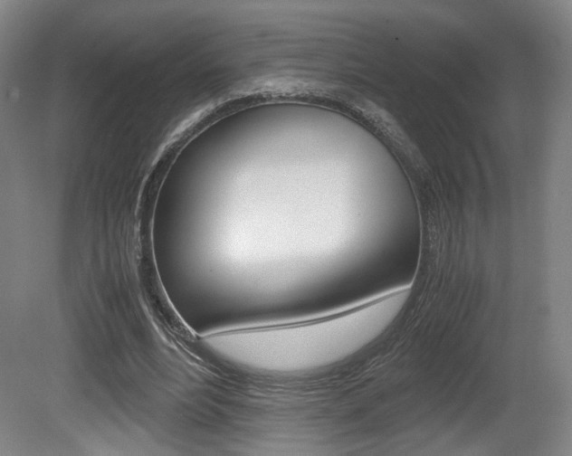 X0000080700488200612150840
